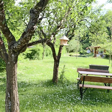 Apartmán Haus Belchenwiese Die Dachgeschosswohnung *